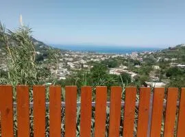 Casa relax