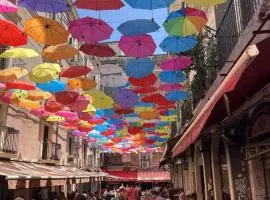 Ciuri tuttu l'annu rooms