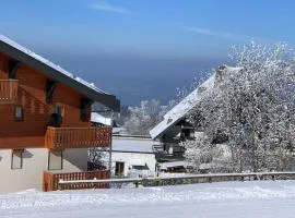 Cocon Savoyard à Thollon les Mémises