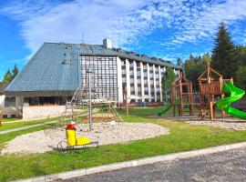 Wellness Hotel Svornost, hotel v destinaci Harrachov
