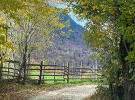 Mont Crai, hotel in Zărneşti