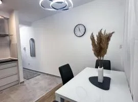 Apartman Jelena II