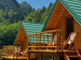 Mountain Retreat Jelovica