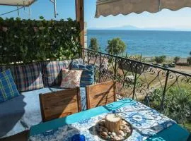 Lilly's Seaview Studio
