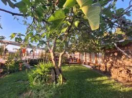 Pilgrims Rest - Vila Nova de Cerveira - Hostel - Albergue - AL