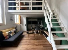 Charmant Duplex Rouen Centre