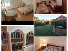 Apartmani Milivojevic, hotel di Soko Banja