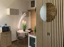 Studio 25m2 en plein cœur de Perpignan