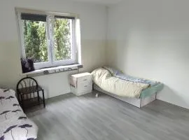 Adam room 1