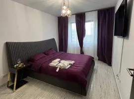 Dream Studios 1