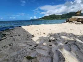 Duplex en bord de mer Fare Tahitea Pension