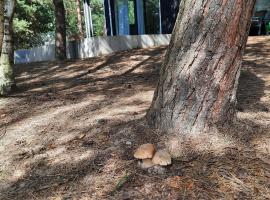 Domek LEŚNICZÓWKA Gorzewo, hotel a Gorzewo