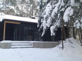 Domek LEŚNICZÓWKA Gorzewo, hotel in Gorzewo