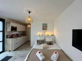Le charmant studio n 32B à 350m des plages
