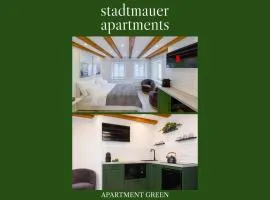 stadtmauer apartments - Neue helle Studio Wohnung direkt an der historischen Stadtmauer