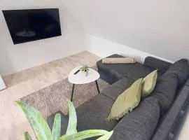 Cozy 1 bedroom apartment B