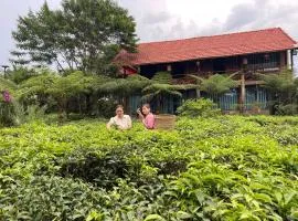 Tea Garden House