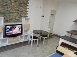 Cozy Quiet Apartment Nis