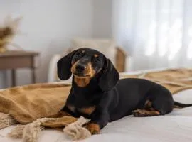 Crackers - Pet Friendly, Jetty Location, Walk to Restaurants