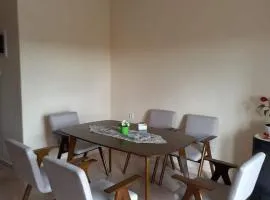 Anzhela apartment