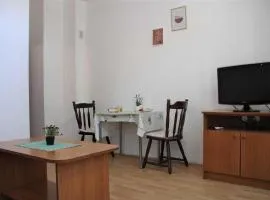 Apartments Pidi