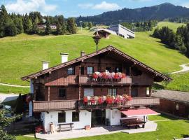 Appartement Mit Panoramablick, hotel in Hopfgarten im Brixental