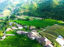 Sapa Tranquilla
