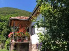 Stara planina, smestaj Ćirković