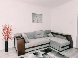 Apartments in Uzhgorod