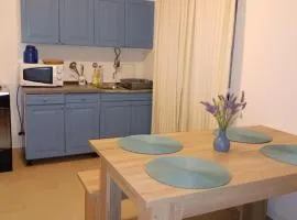 Apartman Tatjana