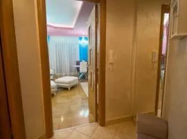 Apartment Sonja Stari Aerdrom