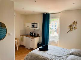 Studio Charles De Gaulle IV, hotel en Castres