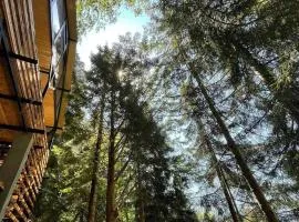Chalet Nune