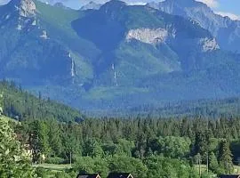 Domek drewniany w Jurgowie