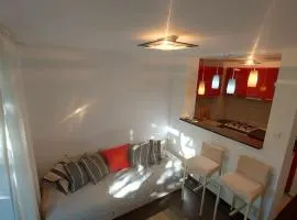 Chic and comfortable 1 BR flat close to center