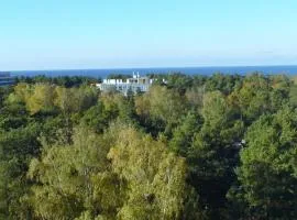 Dzintari Beach House with sauna and pool