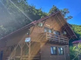 Casa Favorit