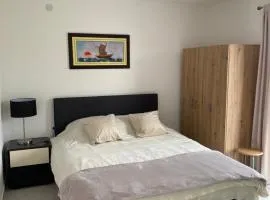 Apartments and Rooms Radivojević Niš