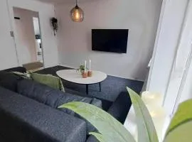 Cozy 1 bedroom apartment A