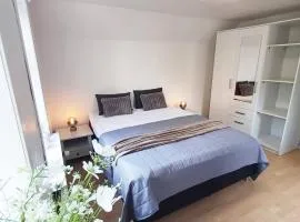 Cozy 1 bedroom apartment A