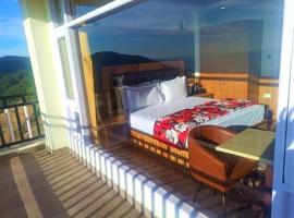 valley view rooms, hotel v destinaci Šimla