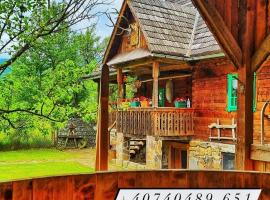 Pajisti Verzi / Green Meadows Guest House, hotel v destinaci Vişeu de Sus