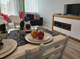 Apartament Dworska 33