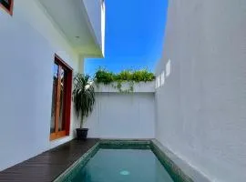 Casa White