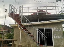 Mint Organic Farm Stay, Wangchin,Phrae