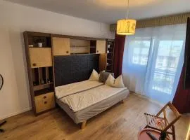 Valentina Studio
