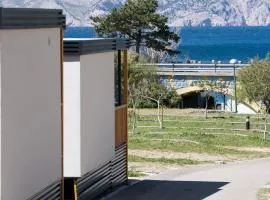 Dalmos 4