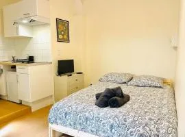 Le petit meublé hyper Centre