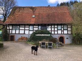 Ferienwohnungen Hanst, agroturismo en Mossautal