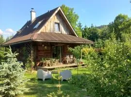 Nad Horyłką Domek u Joanny